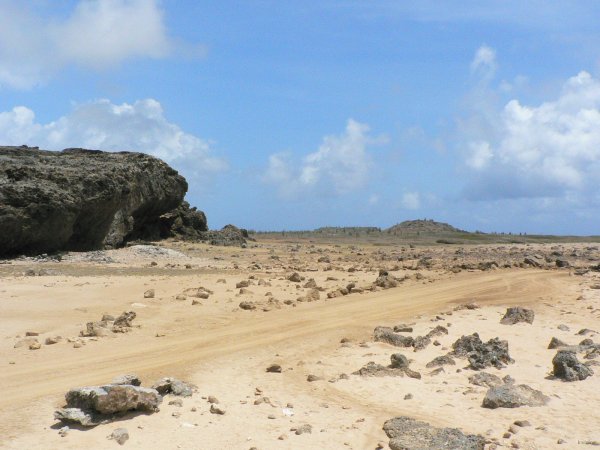 26- Paysage semi-desertique 